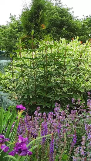 02
Озеленение